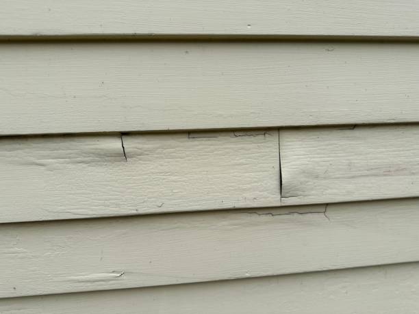 Affordable Siding Repair and Maintenance Services in Morenci, AZ